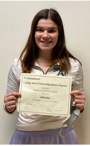 AHS seniors earn College Board recognition | News, Sports, Jobs - Vimarsana News